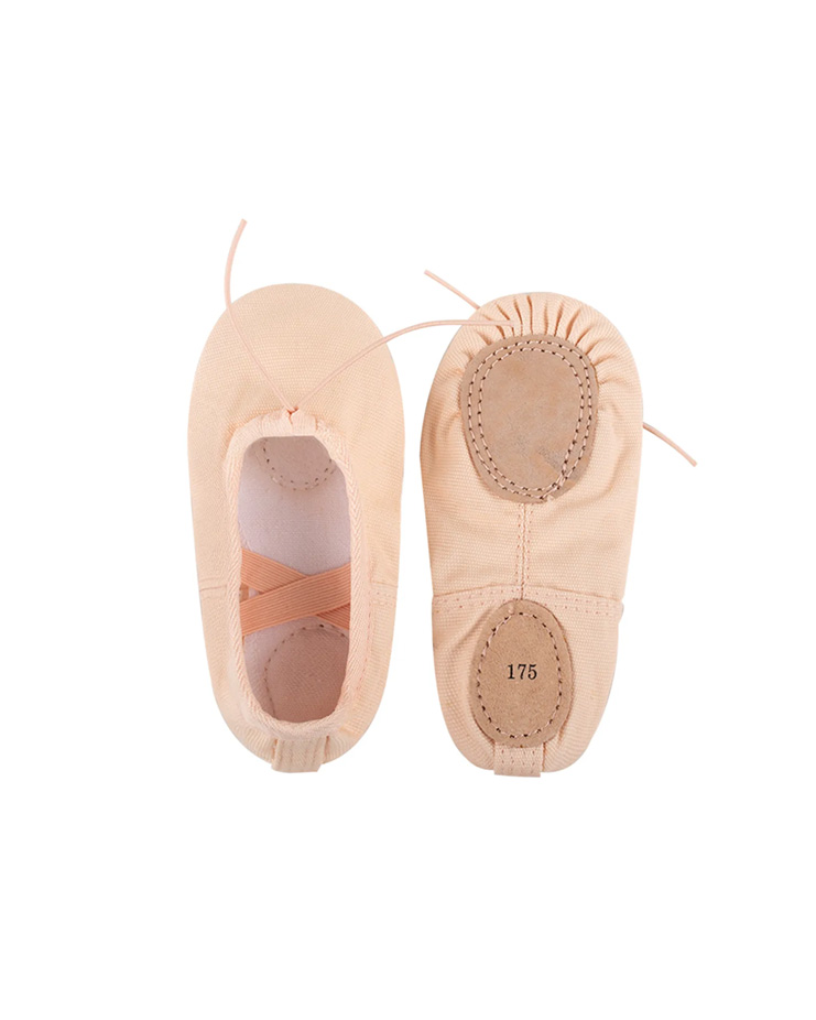 Basic Canvas Shoes [Apricot - Lace-up]
